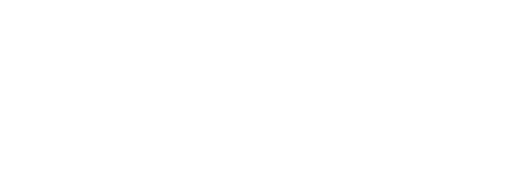 IP Renewals Group